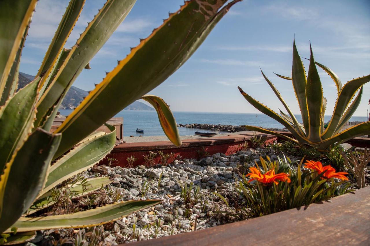 Come Eravamo Monterosso al Mare Dış mekan fotoğraf